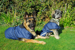 Rhinegold Highland Waterproof Dog Coat