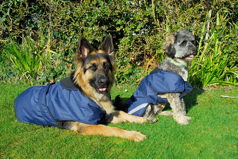 Rhinegold Highland Waterproof Dog Coat
