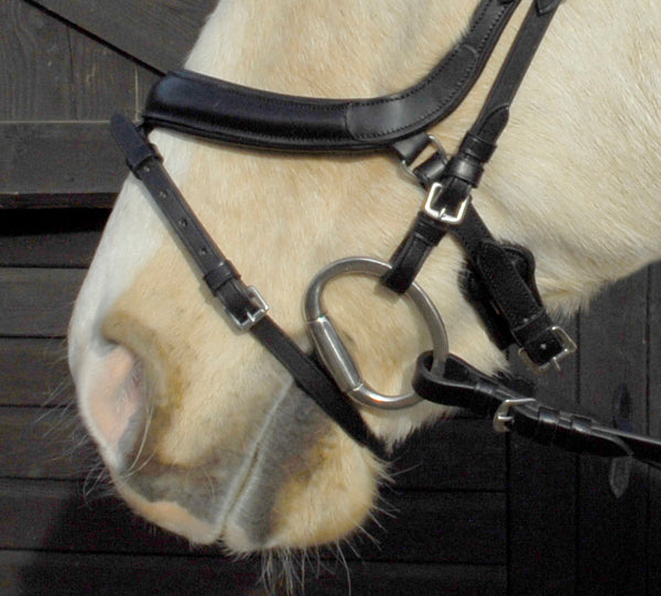 Heritage Anatomical Flash Bridle