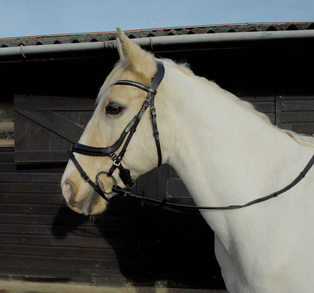 Heritage Anatomical Flash Bridle
