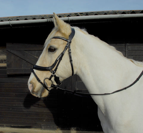 Heritage Anatomical Flash Bridle