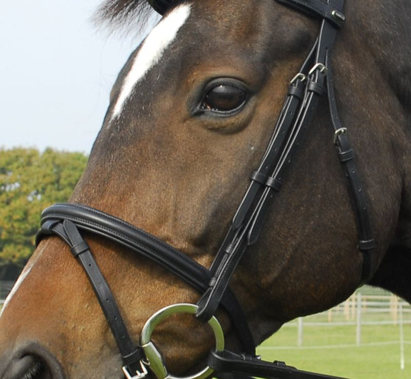 Heritage English Leather Bridle With Flash Noseband