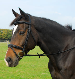 Heritage English Leather Bridle With Flash Noseband