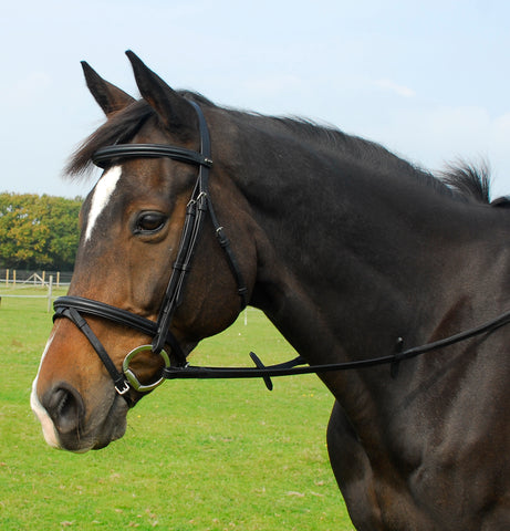 Heritage English Leather Bridle With Flash Noseband
