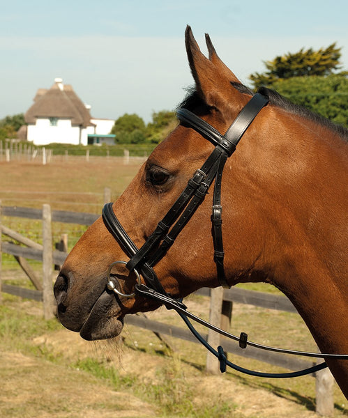 Heritage English Leather Bridle with Raised Cavesson Noseband