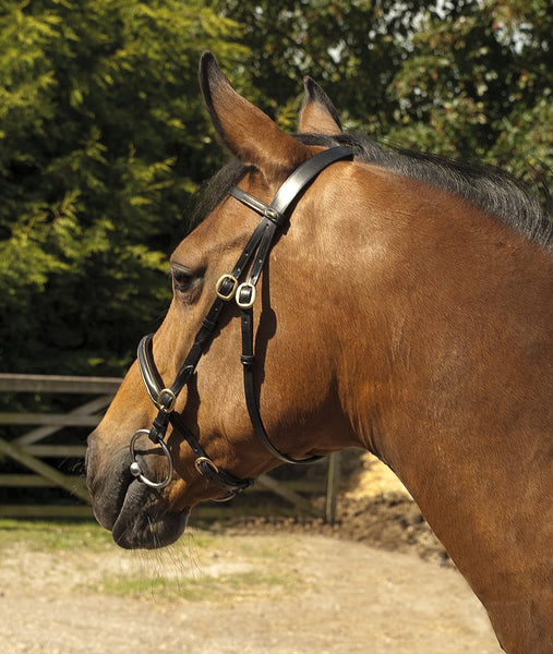 Heritage English Leather In-Hand Bridle