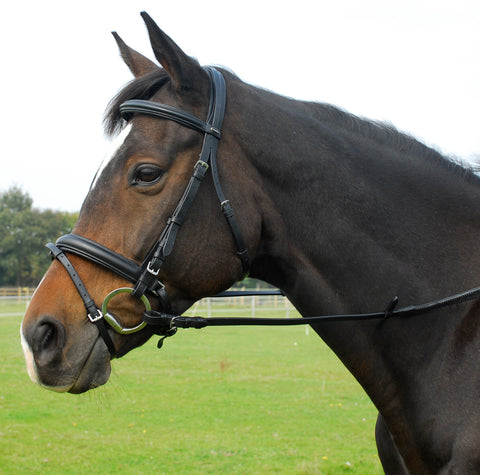 Heritage English Leather 'Comfort' Bridle With Flash Noseband