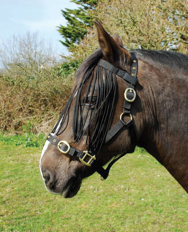 Rhinegold Fly Fringe