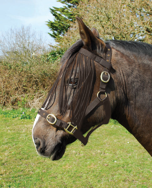 Rhinegold Fly Fringe