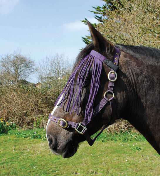 Rhinegold Fly Fringe