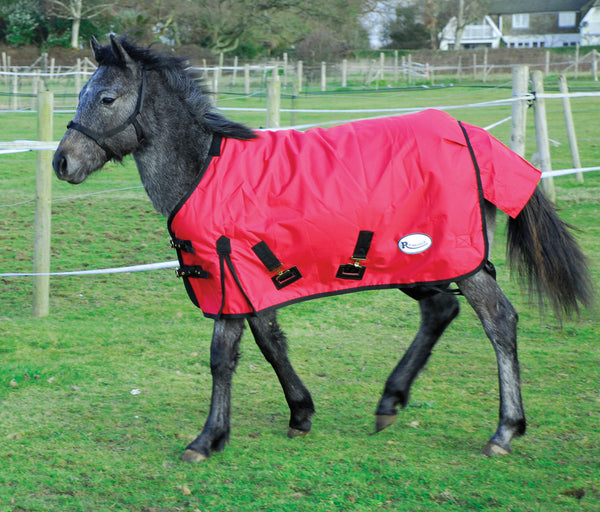 Rhinegold 'Konig' 200g Small Pony/Foal Outdoor Rug