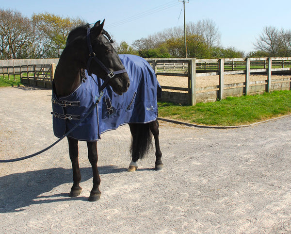Rhinegold Torrent 0g Lightweight Outdoor Rug