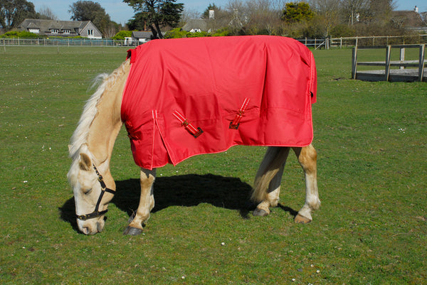 Rhinegold Torrent 0g Lightweight Outdoor Rug