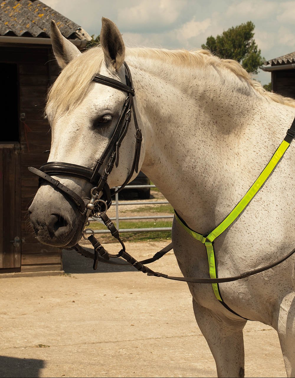 Harlequin Reflective Neck Band