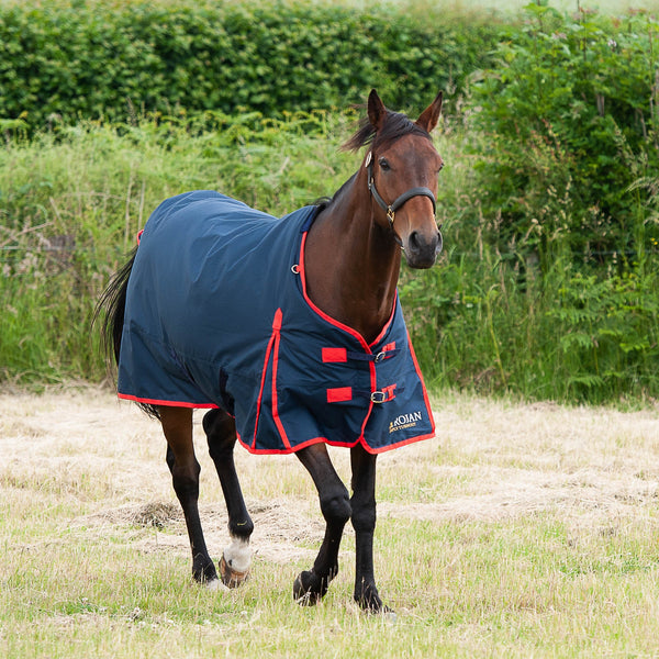 GALLOP TROJAN 200 Turnout Rug