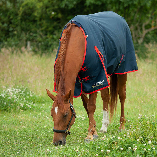 GALLOP TROJAN 200 Turnout Rug