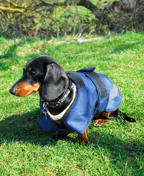 Rhinegold Highland Waterproof Dog Coat