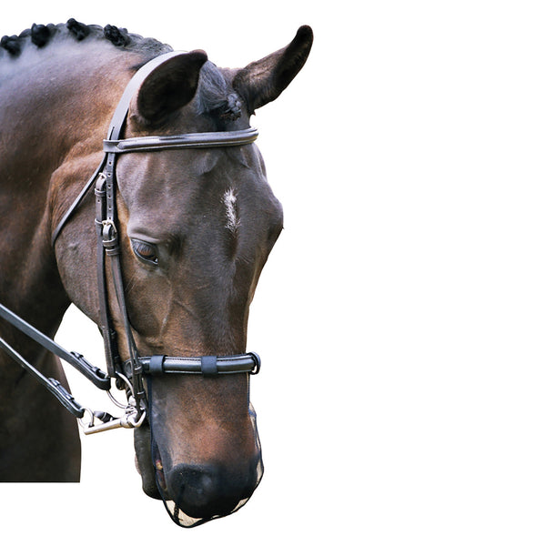 Equilibrium Net Relief Muzzle Net