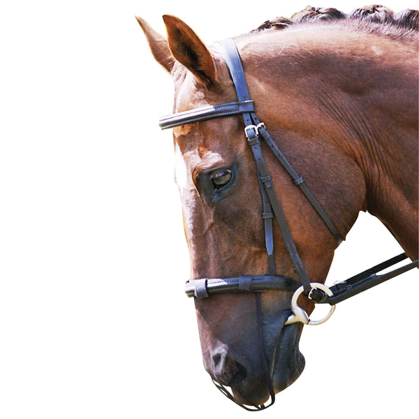 Equilibrium Net Relief Muzzle Net