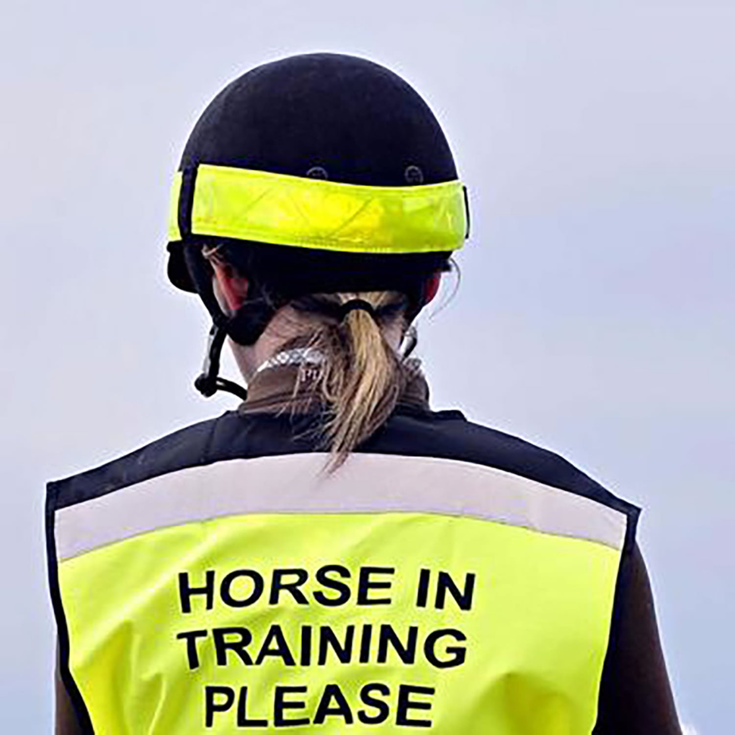 Equisafety Reflective Hatband
