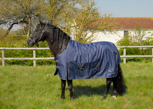 Rhinegold Torrent 0g Lightweight Outdoor Rug