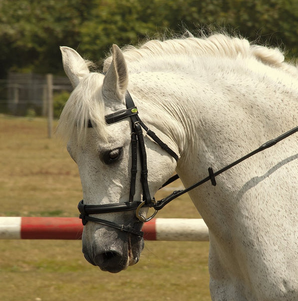 Rhinegold German Leather Bridle with Detachable Flash Noseband