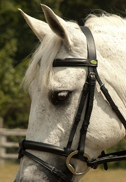 Rhinegold German Leather Bridle with Detachable Flash Noseband