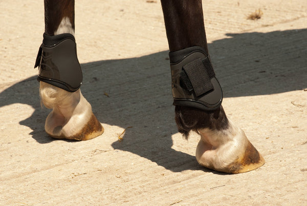 Rhinegold Tendon and Fetlock Boot-Set