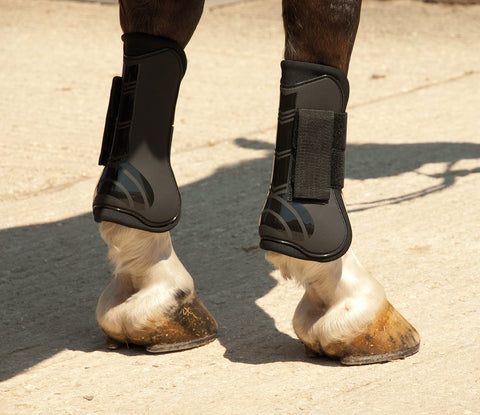 Rhinegold Tendon and Fetlock Boot-Set