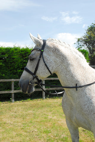 Rhinegold Italian Leather Anatomical Bridle