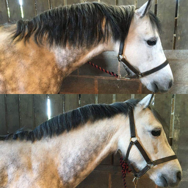 Smart Grooming Smart Mane Thinning Rake