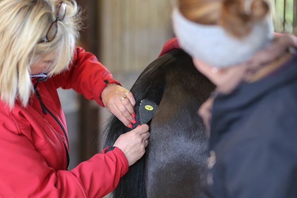 Smart Grooming Standard Tails Thinning Range