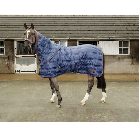 Whitaker 250g Stable Rug Rastrick Combo