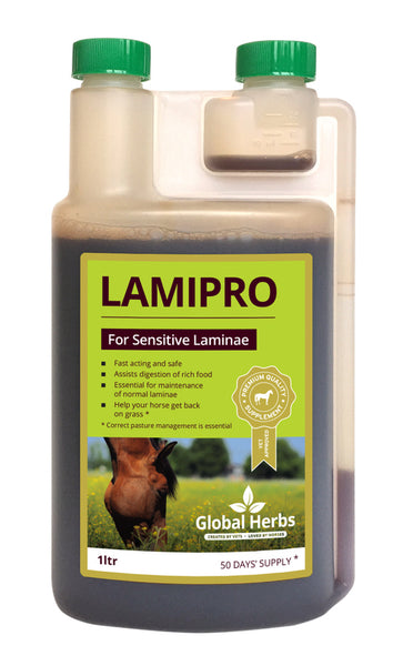 Global Herbs LamiPro Liquid
