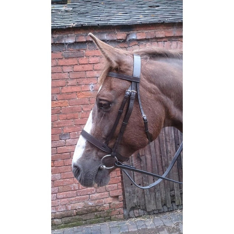 Economy Hunt Bridle & Rubber Reins